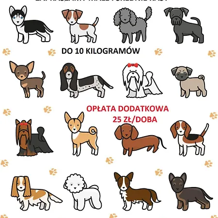 Apart Otel Piaskowe Blekitna Rowy (Pomerania)