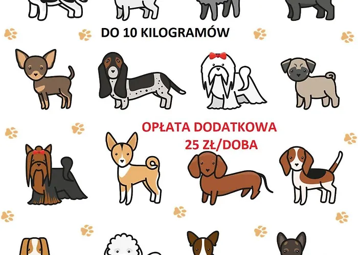 Aparthotel Piaskowe Blekitna Rowy (Pomerania)